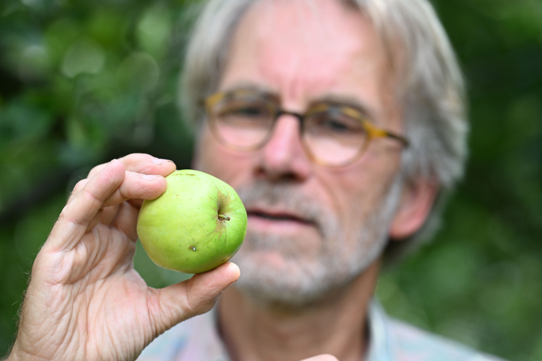 Mann schaut auf Apfel