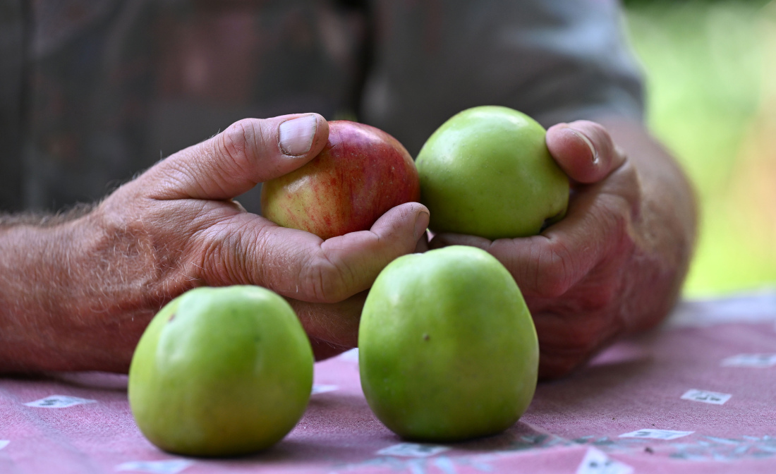 Äpfel