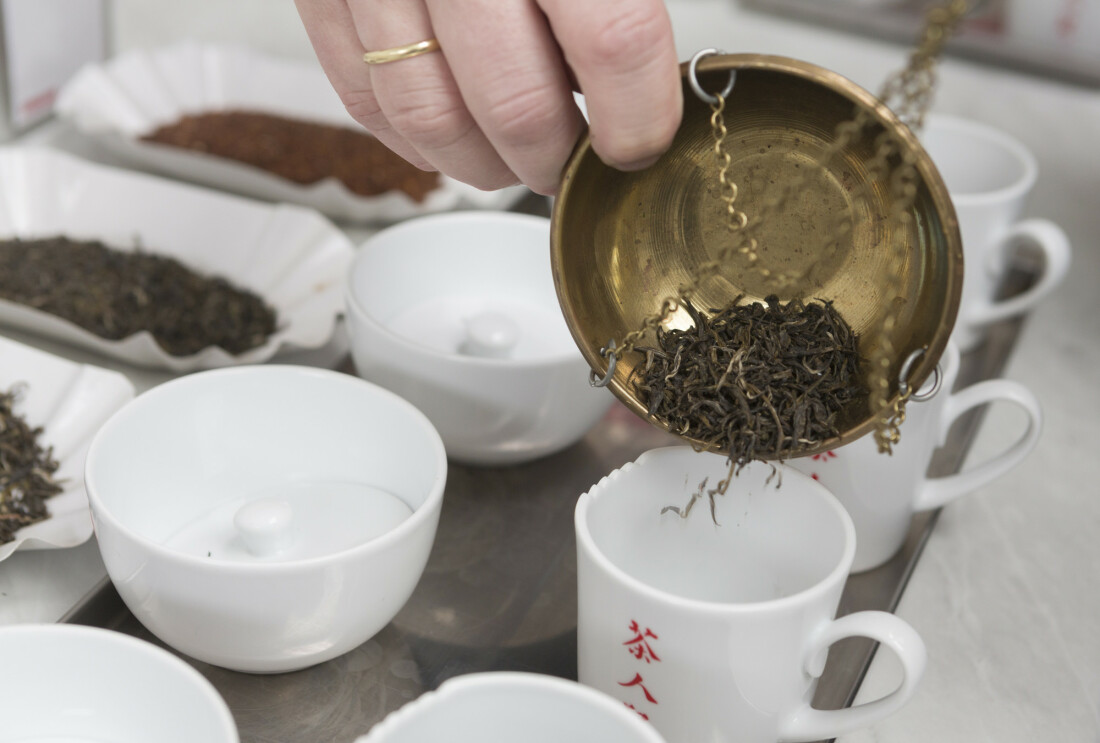 Zwischen Tradition und Moderne: Die Teestadt Bremen + Teezubereitung